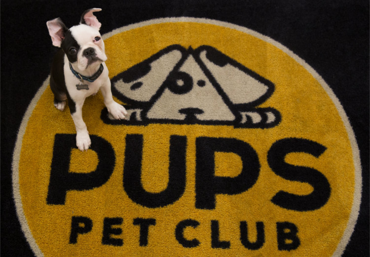 Welcome to PUPS