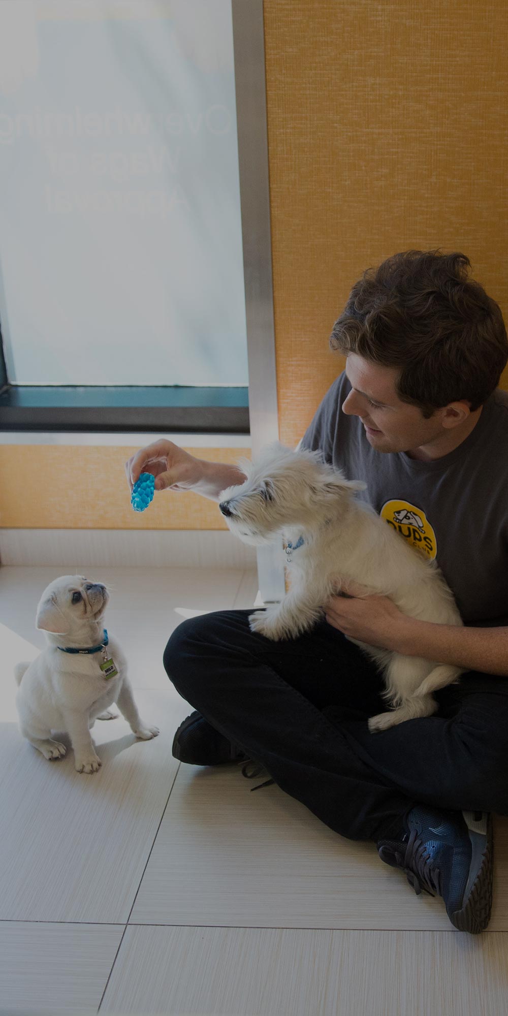 Pups