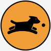 Dog Daycare in Chicago