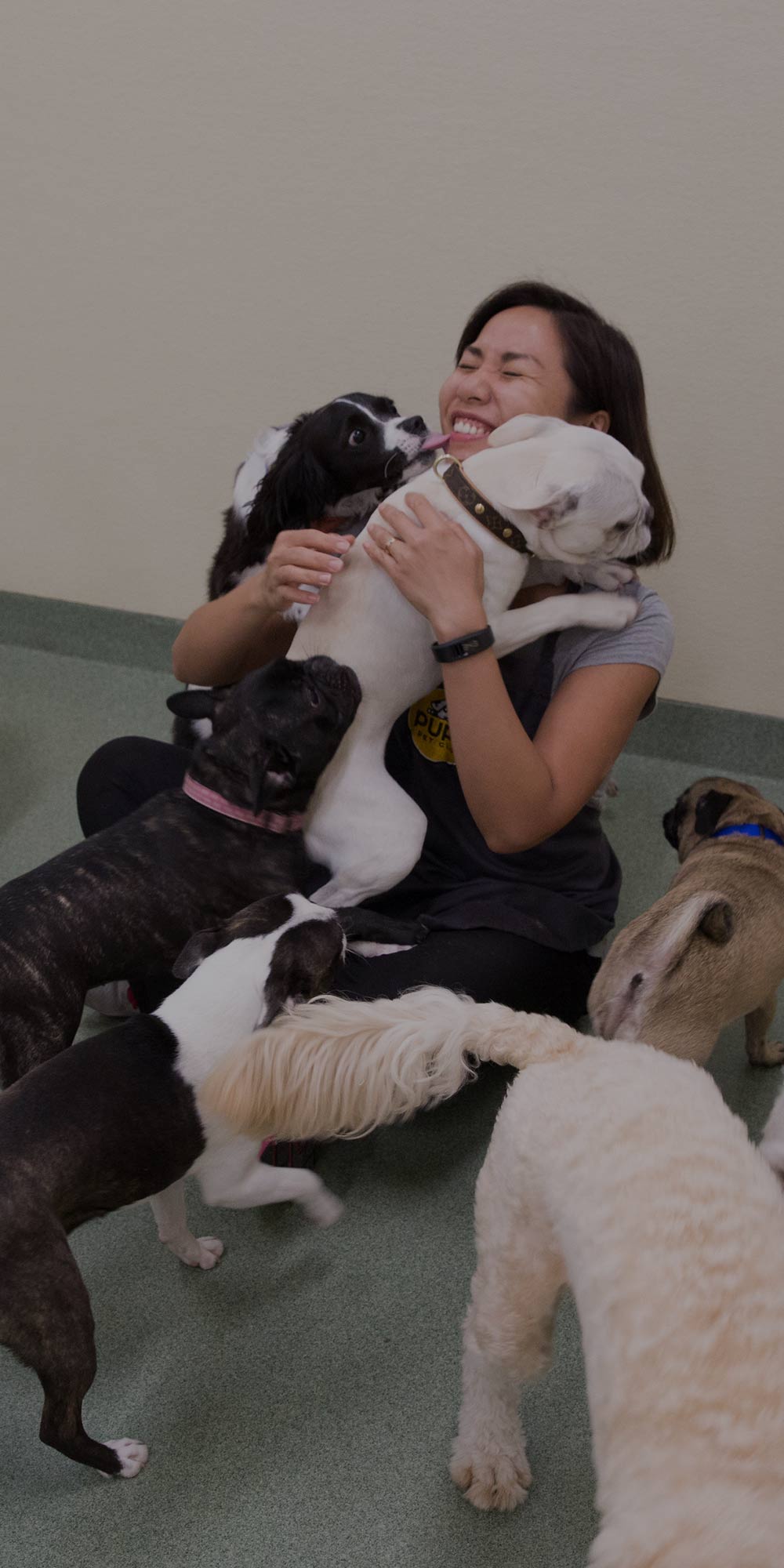 Pups