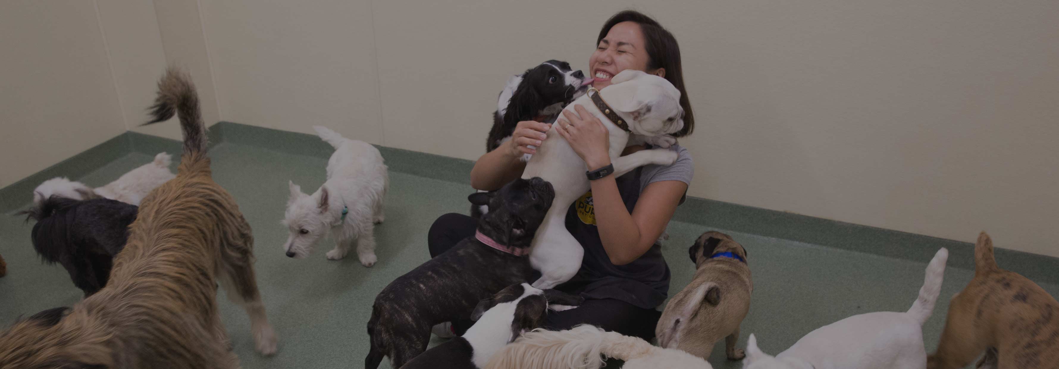 Pups