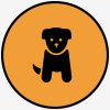 Puppy Playcare in Chicago