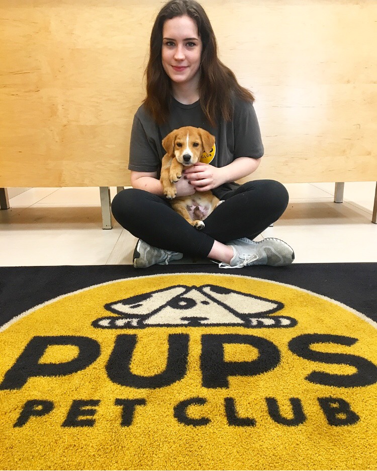 Our Promise to You and Your Pup