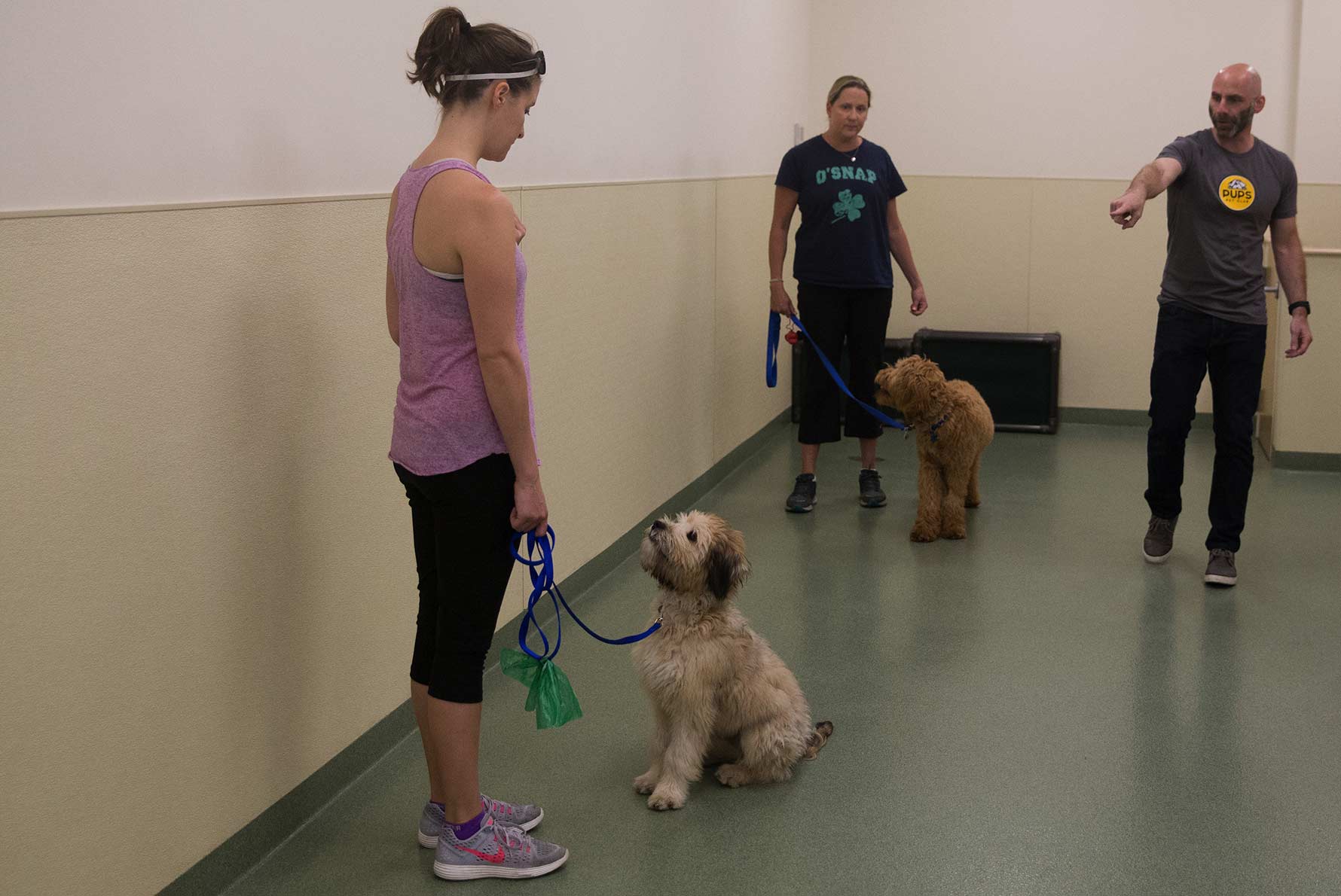 Group Classes Training Tools