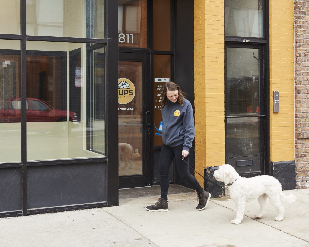 Introducing Dog Walking at PUPS