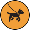 Dog Walking