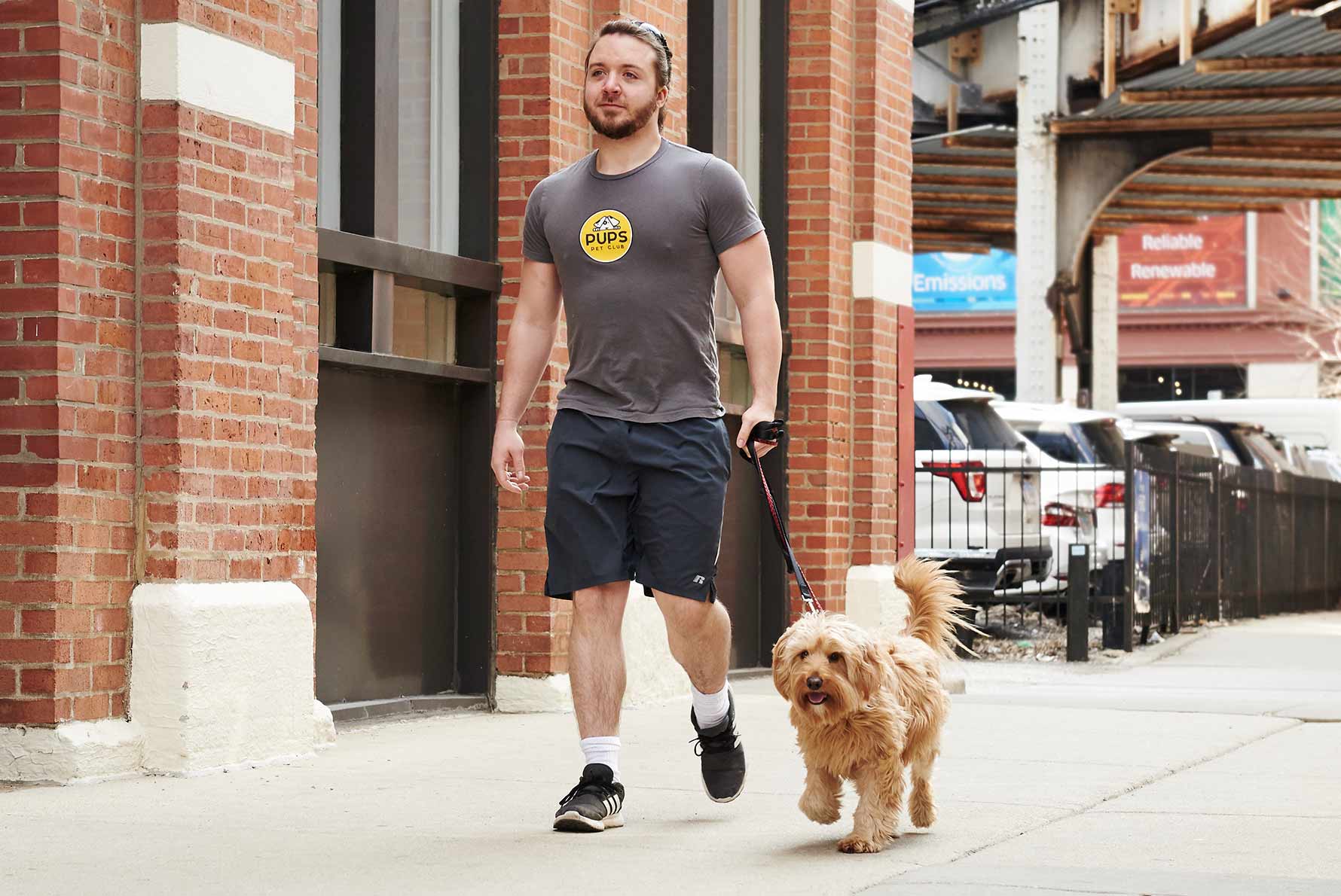 Fun & Fit Walks