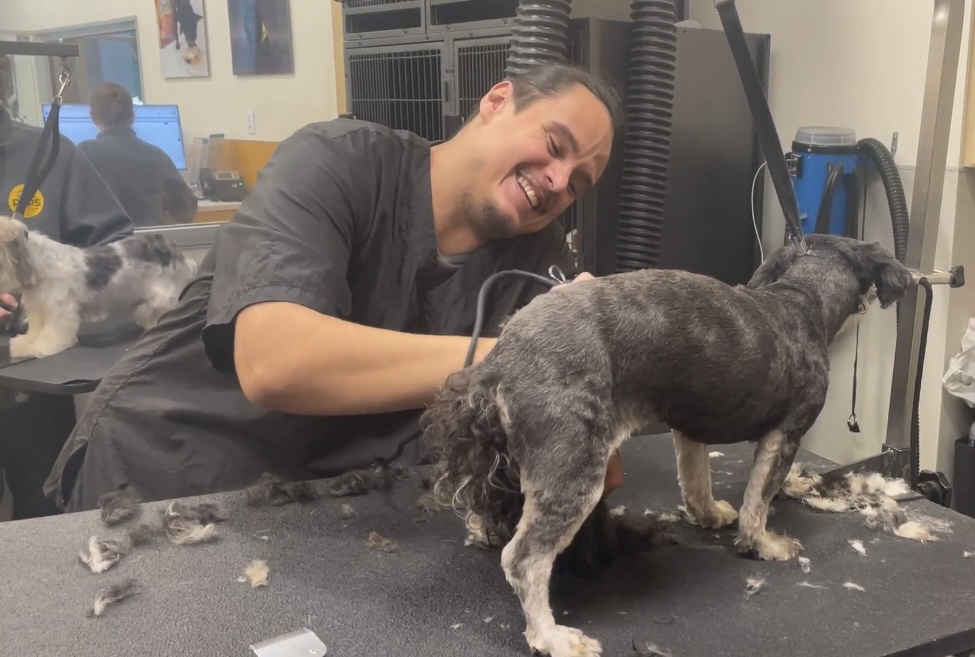 PUPDATE! Meet the Team: Pablo Jimenez, Lead Groomer