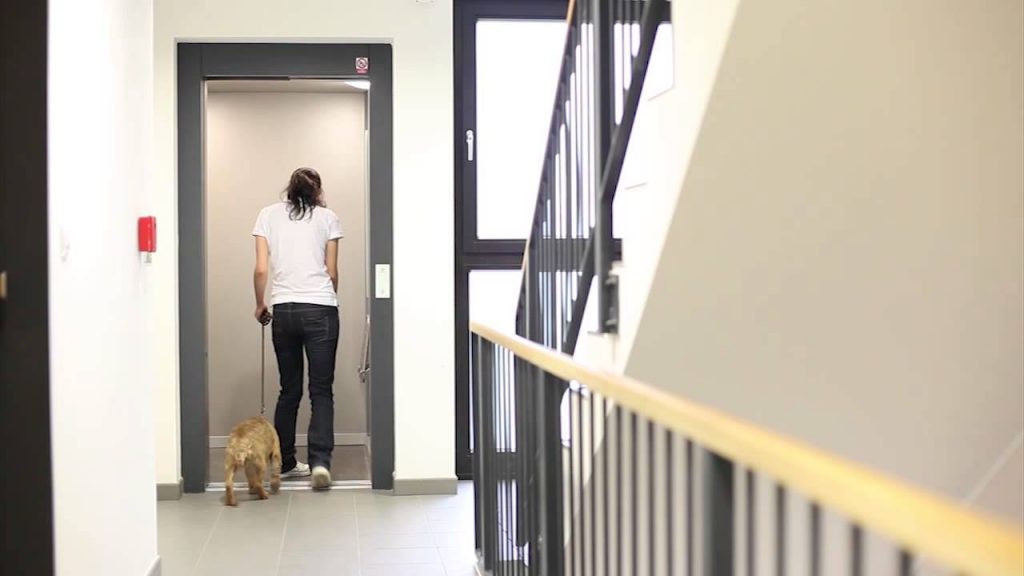 Every Apartment Resident’s Nightmare: Chronic Barking!