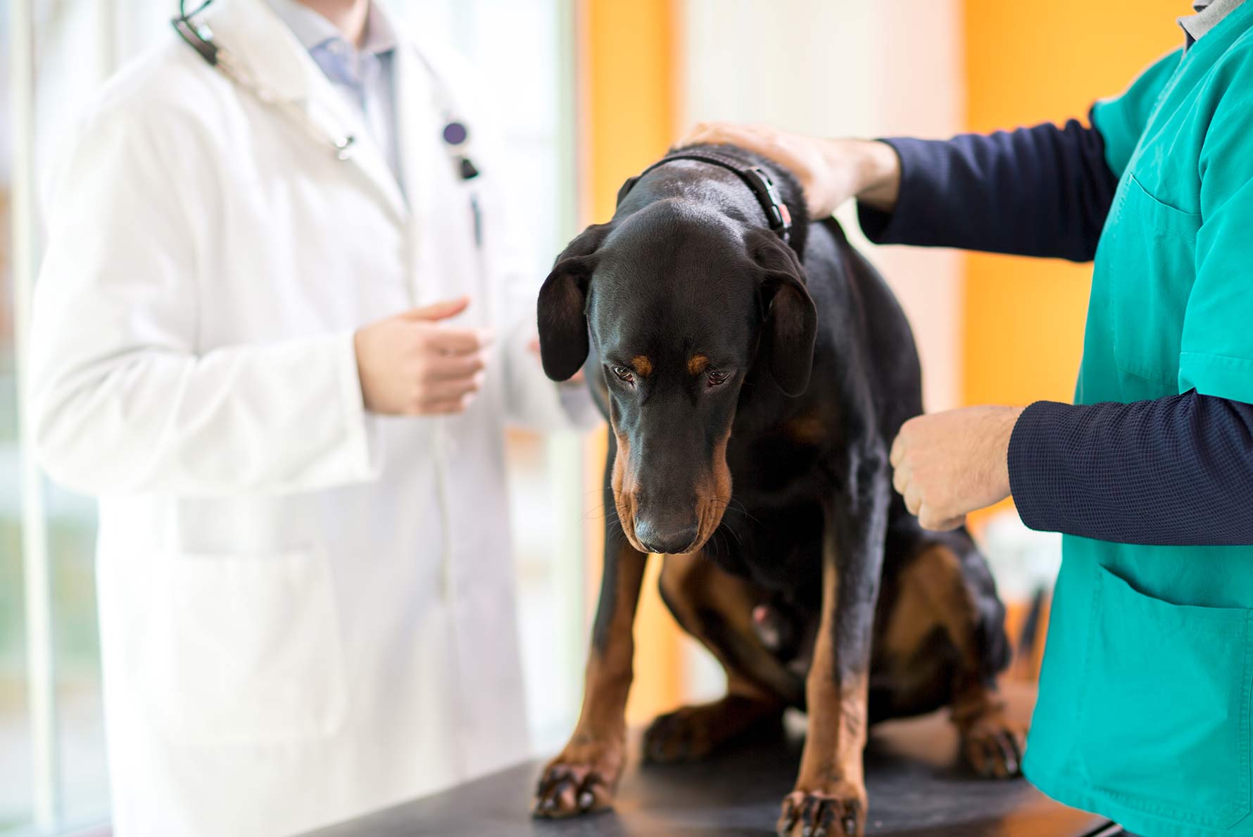 Oncology Services