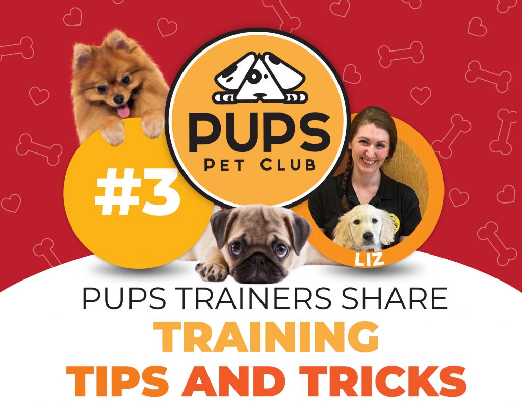 TRAINING TIPS AND TRICKS: Training Never Stops!