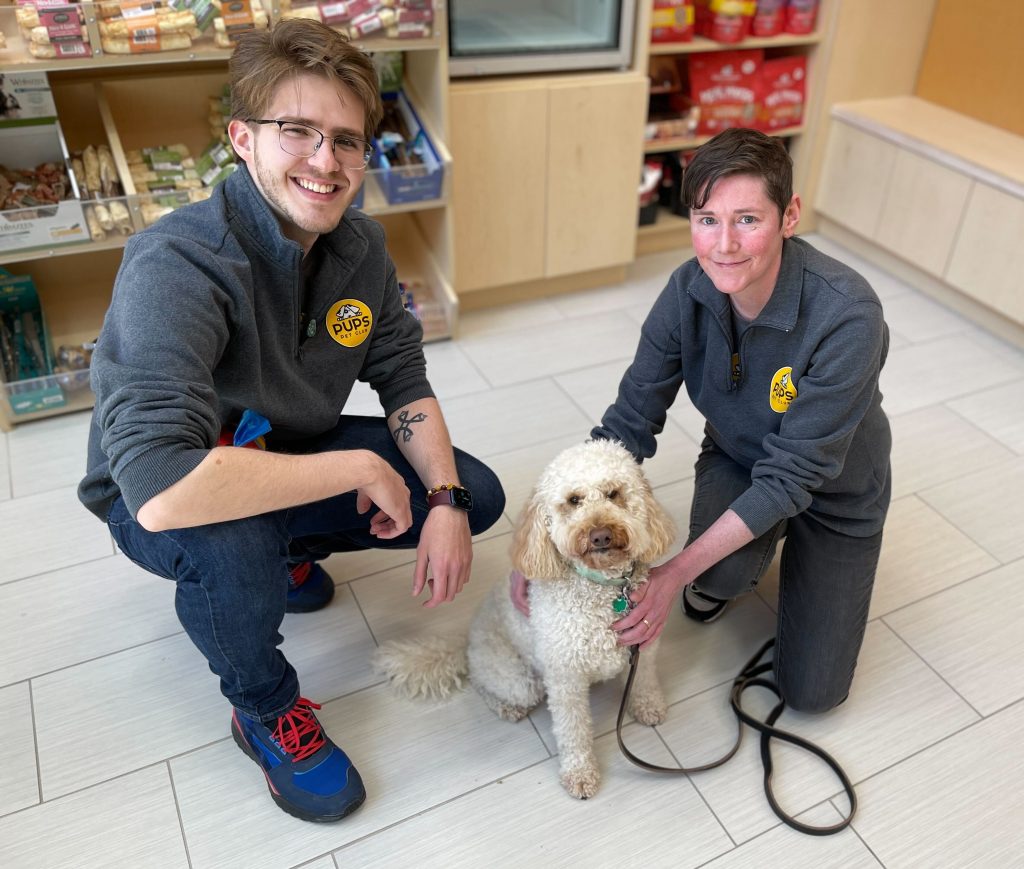 PUPS Dog Training Academy: A Different Breed For Canine Behavioral Modification