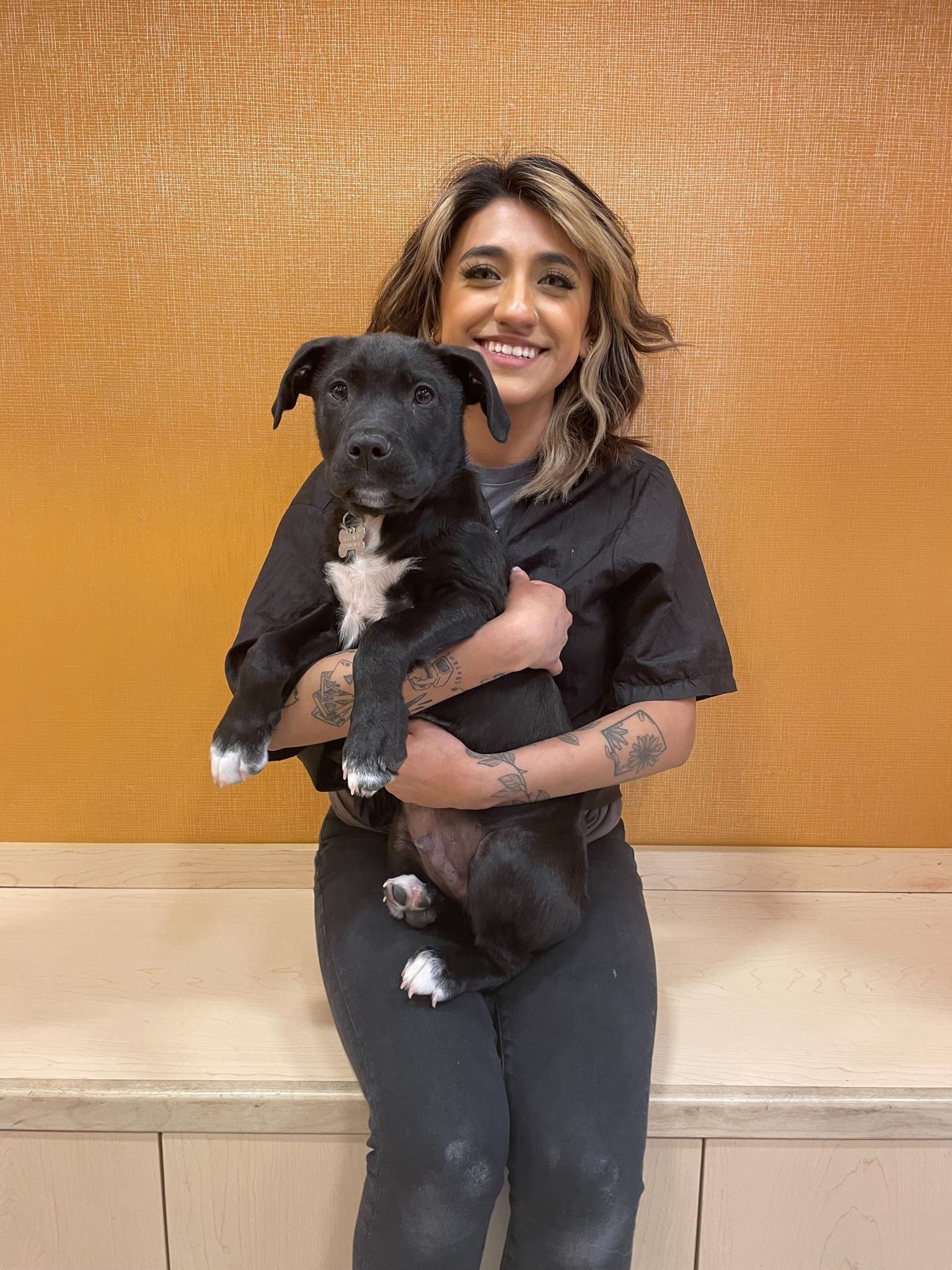 PUPDATE! MEET THE TEAM: Clara Mondragon, Groomer, Lakeview!