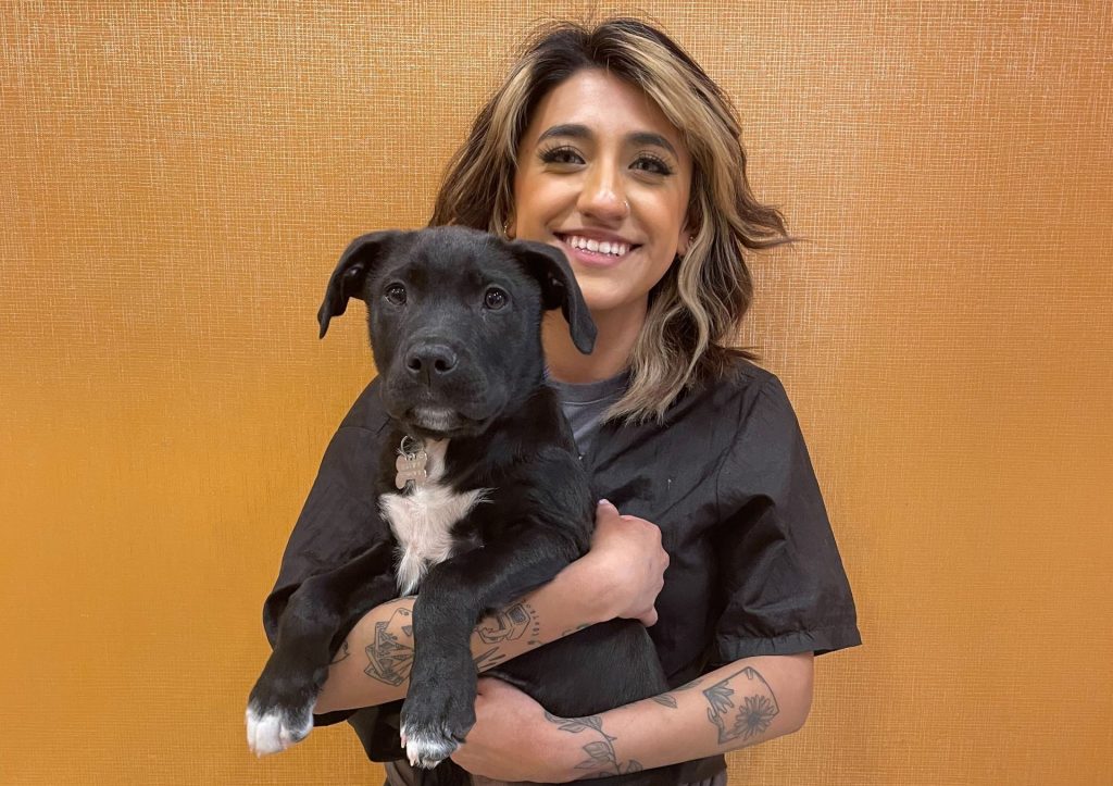 PUPDATE! MEET THE TEAM: Clara Mondragon, Groomer, Lakeview!