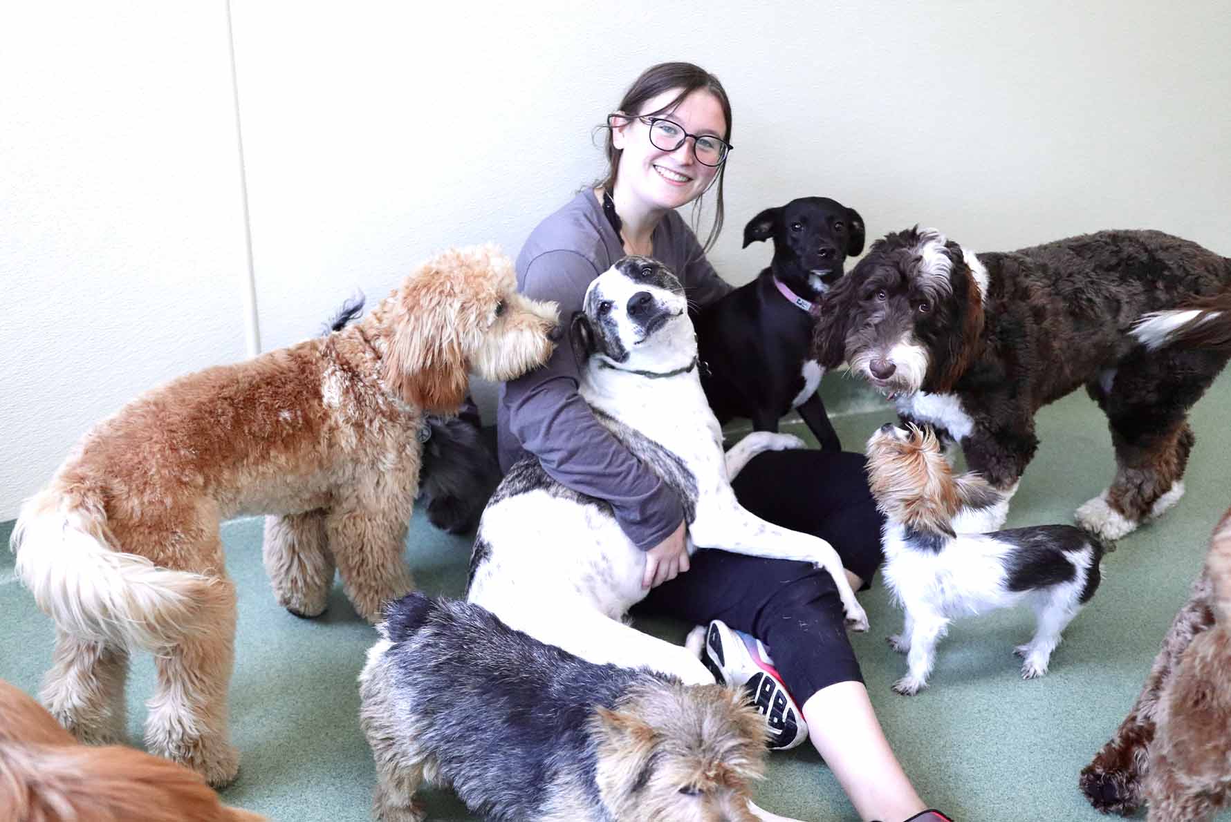 Pups Club LakeView