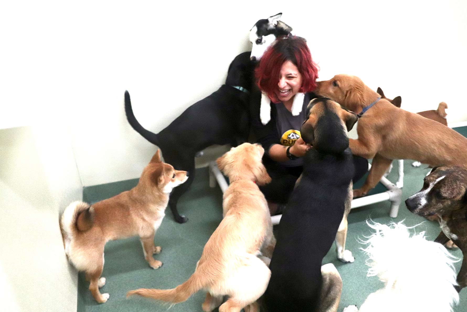 Pups Club Streeterville